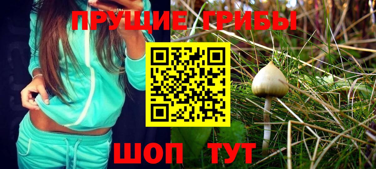 Дербент  Галлюциногенные грибы Magic Shrooms  Вход с VPN 